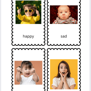 Emotions & Regulation Toolkit for Kids: Visual Stimuli, Emotion Regulation Activities, and Social Emotional Learning Resources